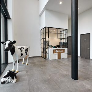 De Rooij SB Afbouw tegelwerk