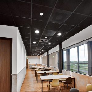 De Rooij SB Afbouw zwart systeemplafond